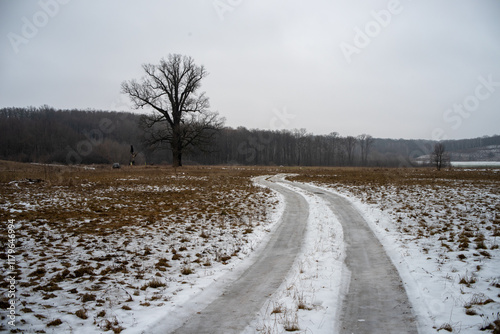 landscape with snow