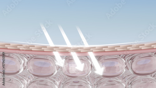 Sunlight damages unprotected skin, causing dullness and sunburn effects