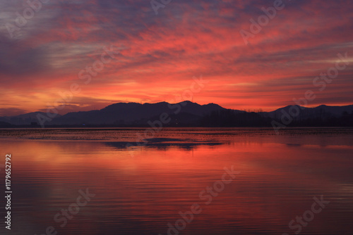 Tranquil Moments of Nature: Birds, Sunsets, and Serene Landscapes. Winter Morning Landscape of Junam Reservoir in Changwon, South Gyeongsang Province, South Korea