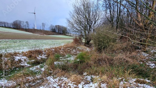 Photos Silver River headwaters between veldrom and Kempen