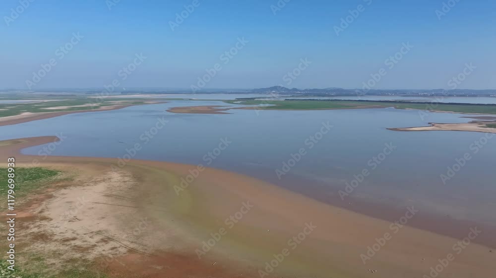 Wonderful sight of migratory birds in ecological wetland Wonderful sight of migratory birds in ecological wetland