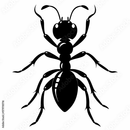 Ant Black silhouette