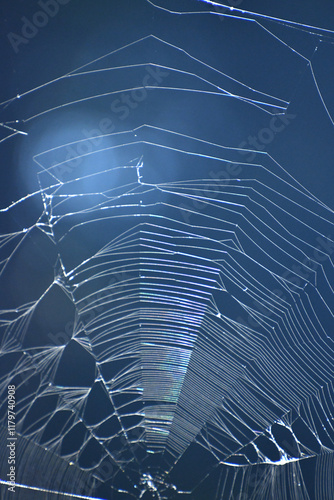 Spooky Spider Web Halloween Scary
