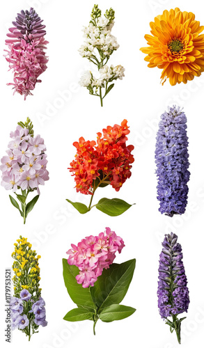 Floral arrangement of various blooms, Transparent Background PNG