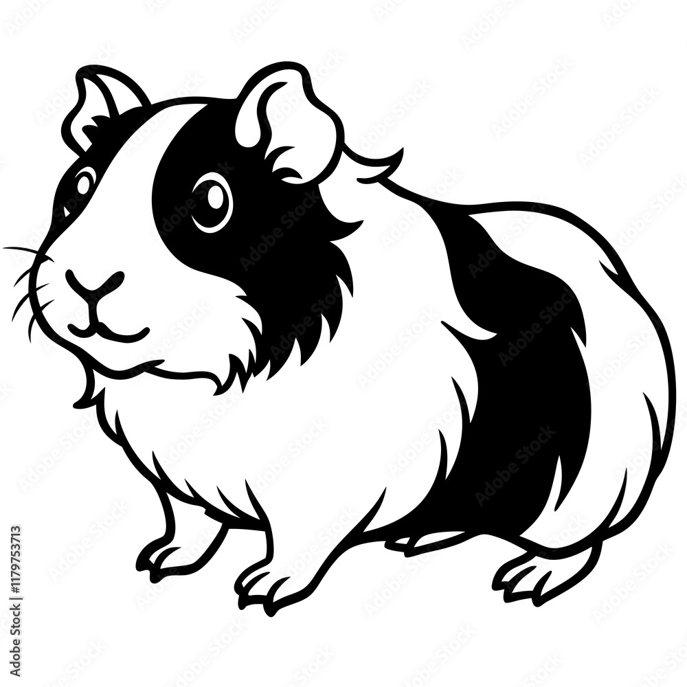 Fototapeta premium Guinea Pig on white background
