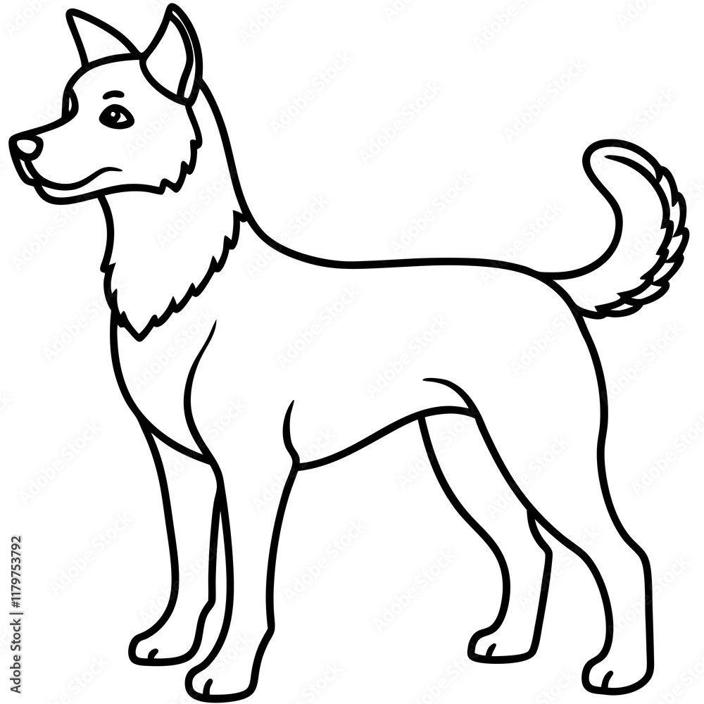 Dog on white background Dog on white background