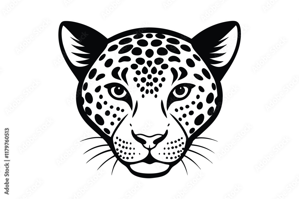 leopard head isolated on white leopard head isolated on white
