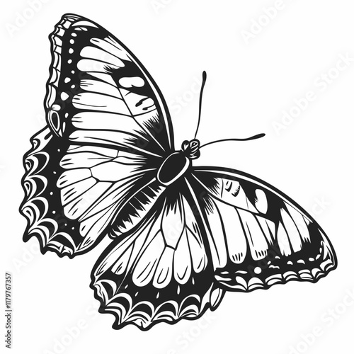 Butterfly Black silhouette