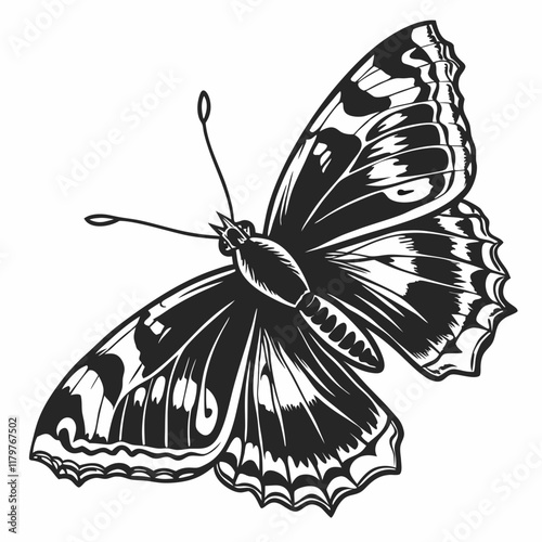 Butterfly Black silhouette