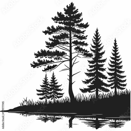 Reflection in water, pine tree forest Black silhouette