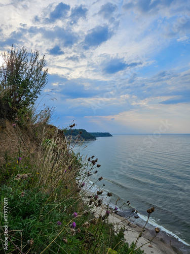 view of the coast of the sea