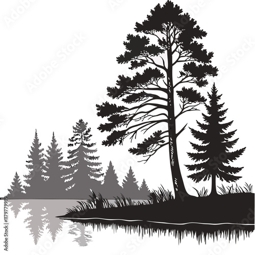 Reflection in water, pine tree forest Black silhouette