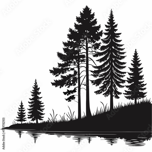 Reflection in water, pine tree forest Black silhouette