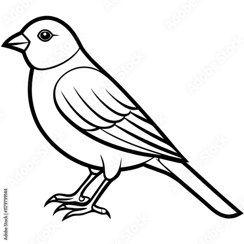 Canary vector silhouette on white background