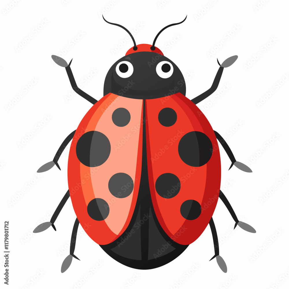 illustration of a ladybug illustration of a ladybug