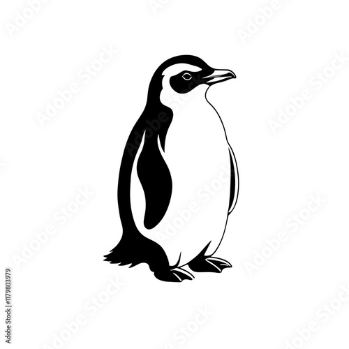 Illustration of a Cute black and white penguin standing upright on a plain background