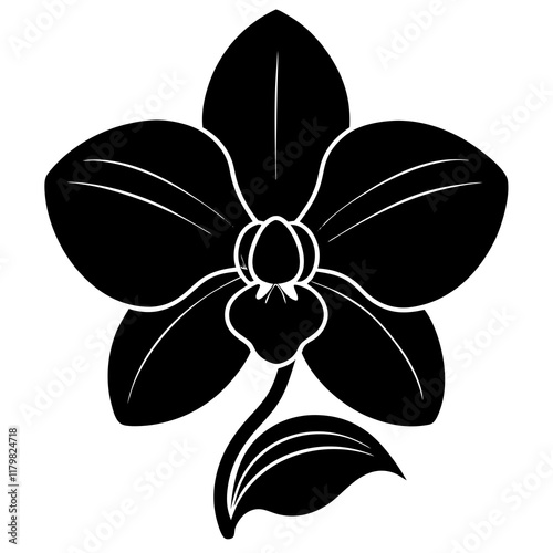 orchid silhouette vector illustrator