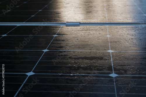 Paneles Solares Brillando bajo el Sol