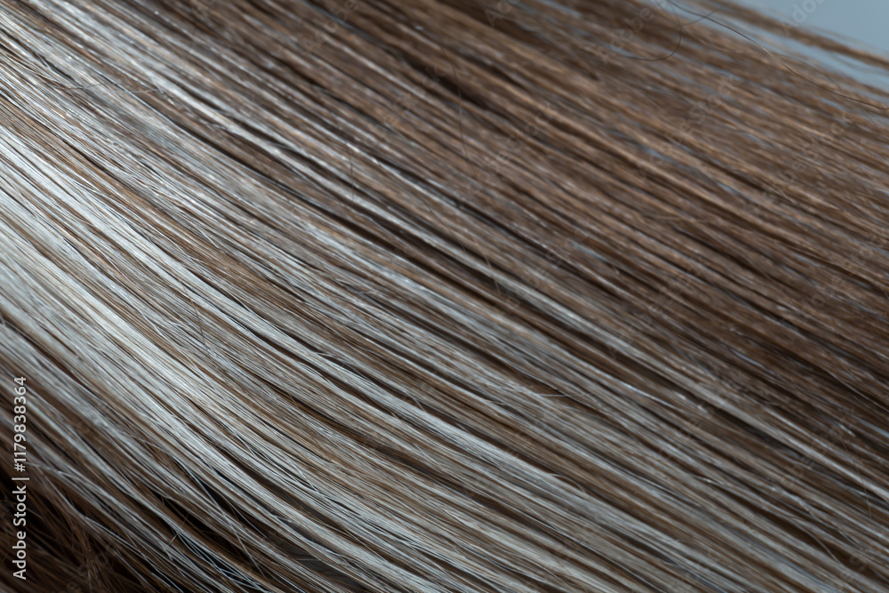 Φωτογραφία Play of colors in hair: The macro photograph reveals the texture of the hair, where the brown pigment seamlessly transitions into a radiant platinum-gray strand, creating a refined effect