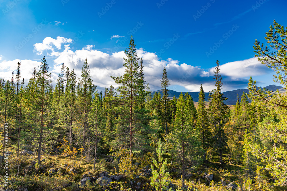 View to Khibiny mountains near Chasnayok creek. Early autumn in arctic tundra region. Kola peninsula, Murmansk region, Russia.