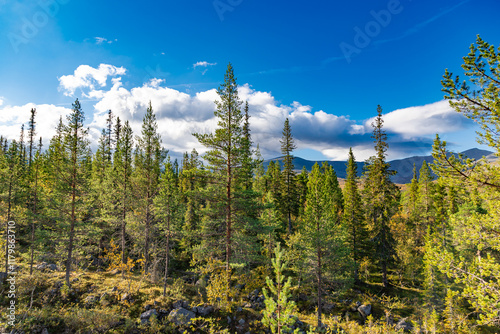Obraz na płótnie View to Khibiny mountains near Chasnayok creek. Early autumn in arctic tundra region. Kola peninsula, Murmansk region, Russia. w salonie