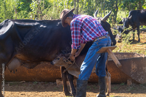 Ganadero  en un Campo Rural