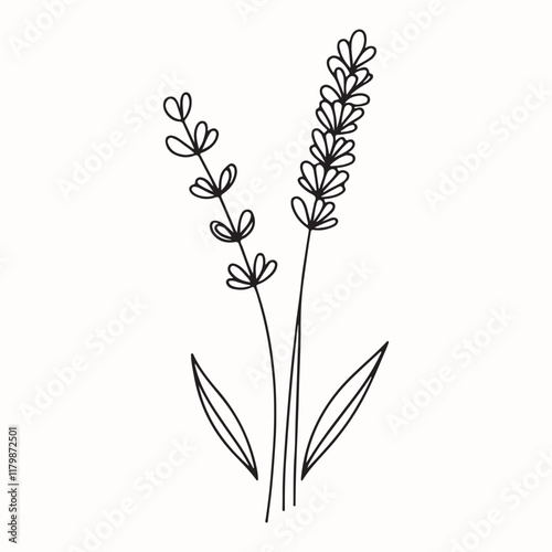 Bluebonnets flower line art vector