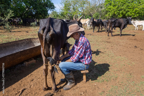 Ganadero  en un Campo Rural