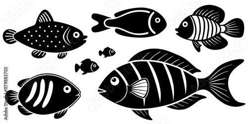 illustration of a fish's sets