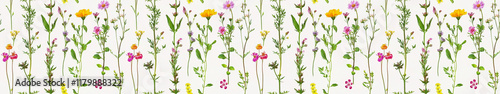 Wallpaper Mural Wildflowers painting, repeatable seamless tile Torontodigital.ca