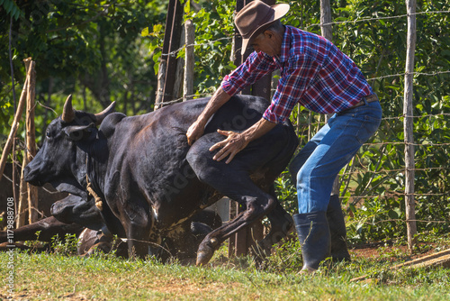 Ganadero  en un Campo Rural