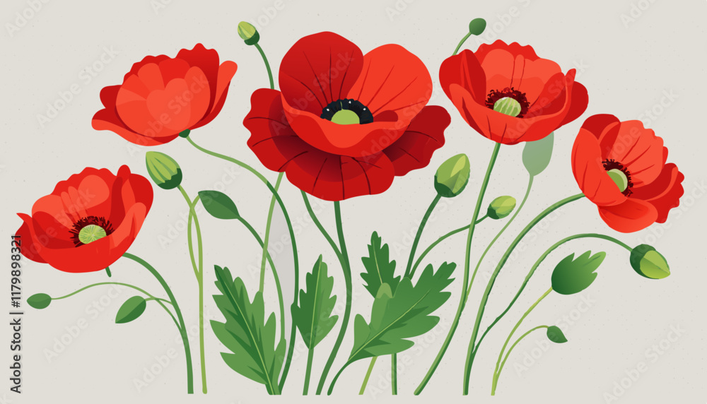 Obraz premium Beautiful Red Poppy Flower Illustration, Coquelicots sur fond transparent pour bannière.