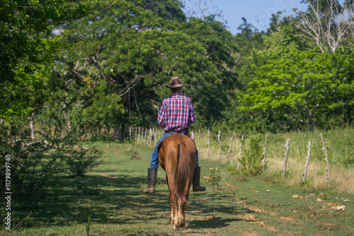 Ganadero  en un Campo Rural
