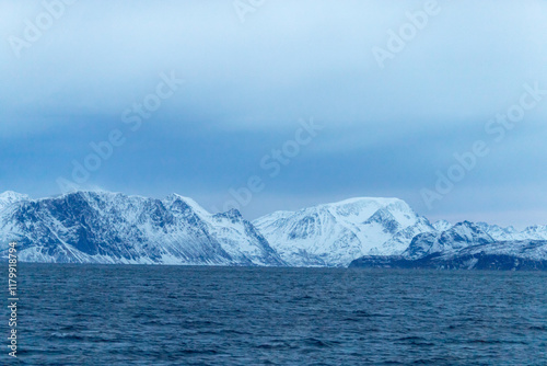 Wallpaper Mural Bateau observation baleine Torontodigital.ca