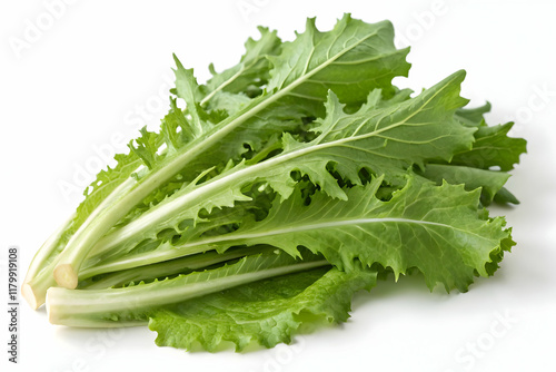 Fresh Green Escarole Lettuce Leaves Isolated on White Background