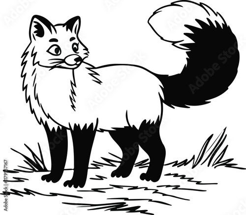 Woodcut illustration, black and white fox, stylized, detailed fur texture, bushy tail, alert expression, standing in grass, vintage engraving style, high contrast, simplified lines, nature illustratio