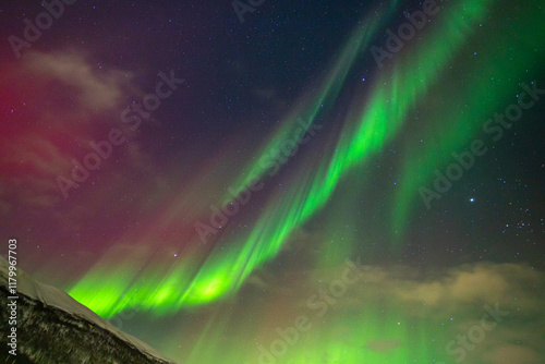 Aurores boréales tromso Norvège