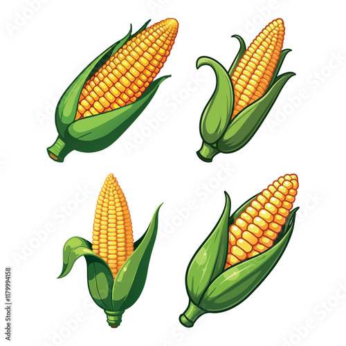 Fresh corn cobs with husks, healthy food illustration, perfect for farm-to-table designs, organic food branding, or grocery store logos