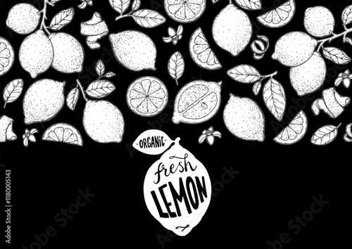 Lemon fruit hand drawn design. Vector illustration. Design, package, brochure illustration. Lemon fruit frame illustration. Design elements for packaging design and other.