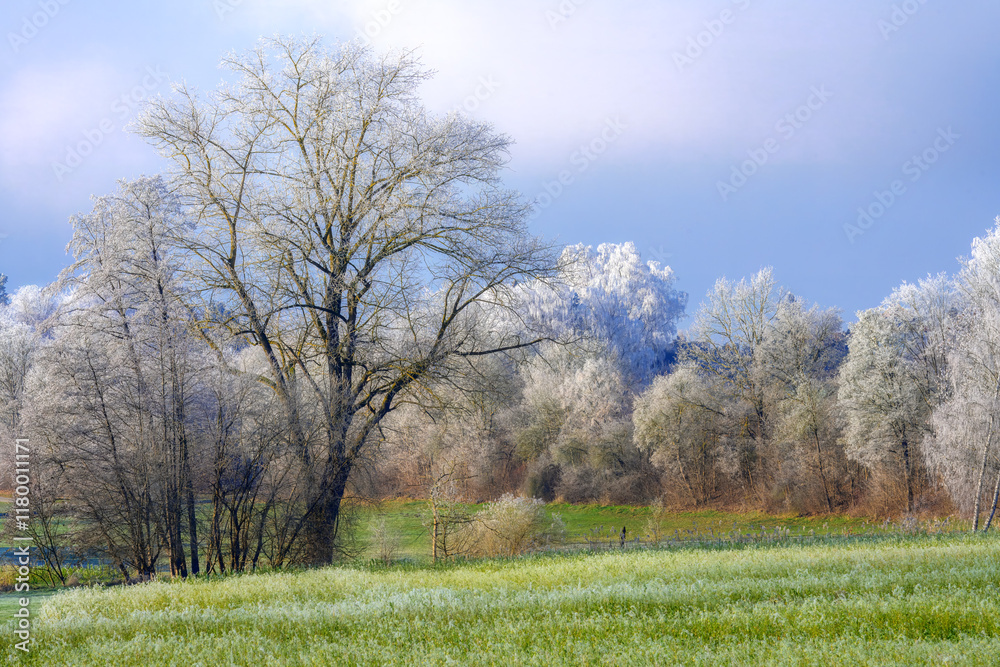 Winter landscape with frost covered trees
