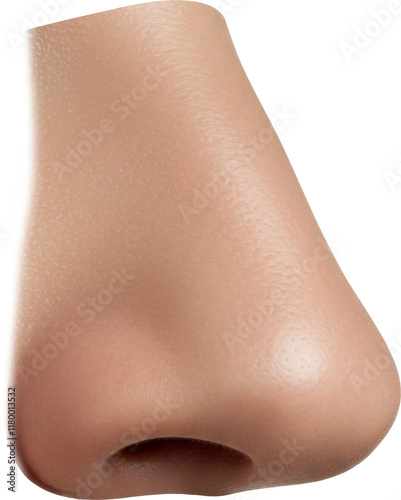 human nose and nostril, face part, skin and anatomy, isolated transparent png