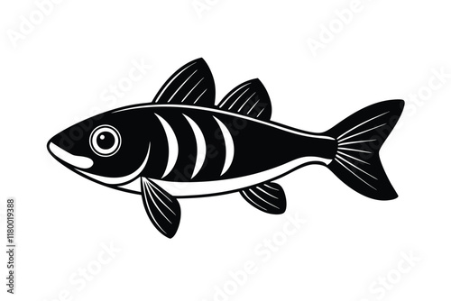 illustration of a snook fish