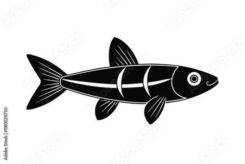 illustration of a  anchovy fish