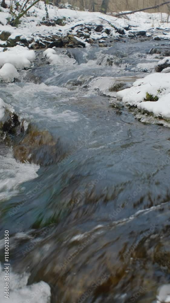 Vertical video of fast mountain river in snow winter forest. Trees covered in snow bent over running natural water. Beautiful nature. Cold water stream of clean river flowing between snow shores Vertical video of fast mountain river in snow winter forest. Trees covered in snow bent over running natural water. Beautiful nature. Cold water stream of clean river flowing between snow shores