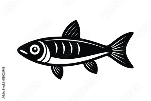 illustration of a sardine fish