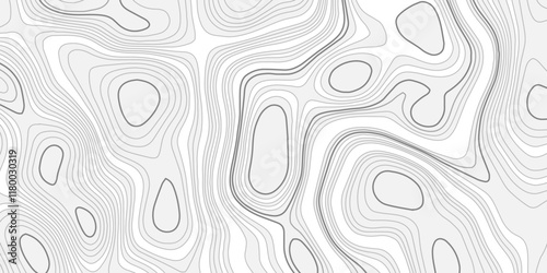 Abstract topography wave paper curved reliefs white line background, contours topography map background, topography and geography map grid background, Abstract vector illustration.