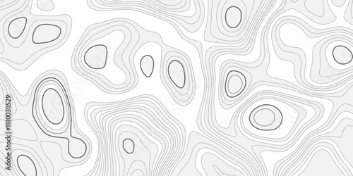 Abstract topography wave paper curved reliefs white line background, contours topography map background, topography and geography map grid background, Abstract vector illustration.