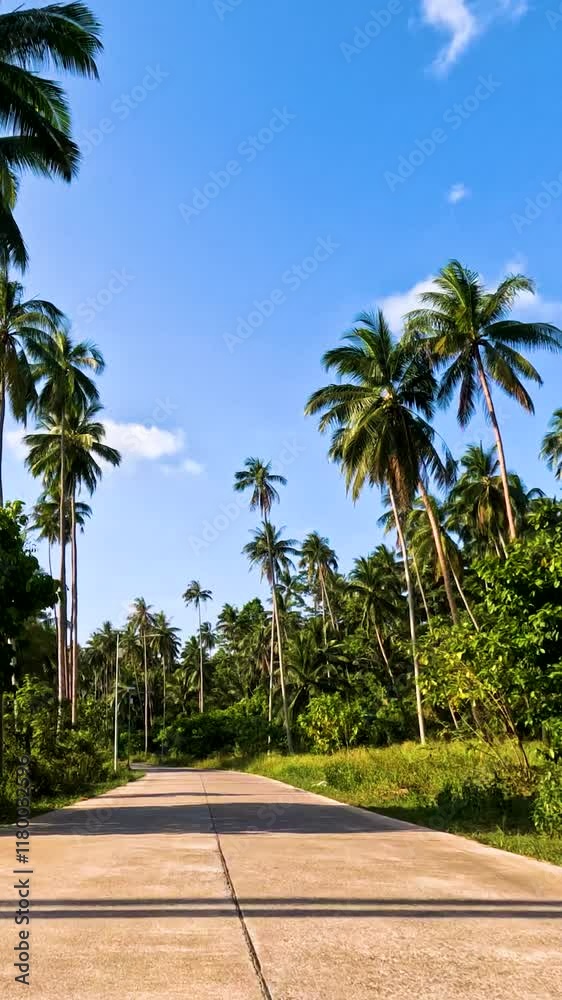 Scenic tropical road lined with palm trees on a clear sunny day. Vertical video. Scenic tropical road lined with palm trees on a clear sunny day. Vertical video.