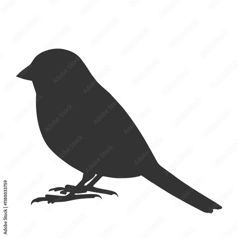 Fototapeta premium Sparrow Silhouette Illustration, Small Bird Sketch, Isolated