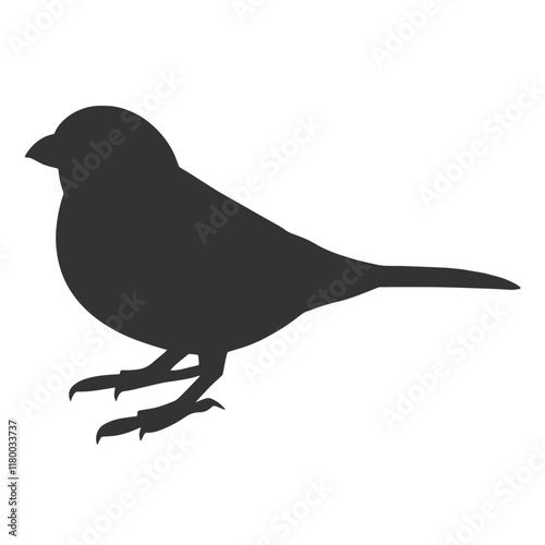 Sparrow Silhouette Illustration, Small Bird Sketch, Isolated